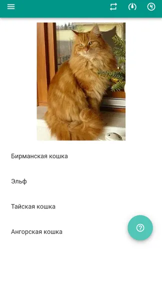 Скриншот 2/4