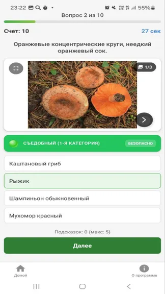 Скриншот 1/5