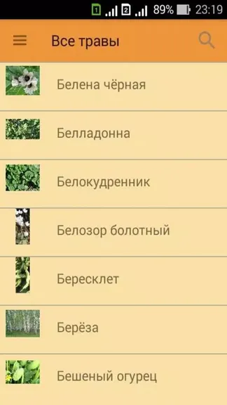 Скриншот 2/5