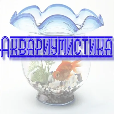 Аквариумистика - рыбы