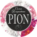 PION Flowers логотип