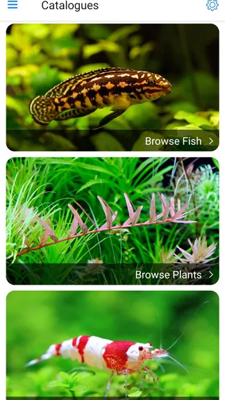 Скриншот 2/10