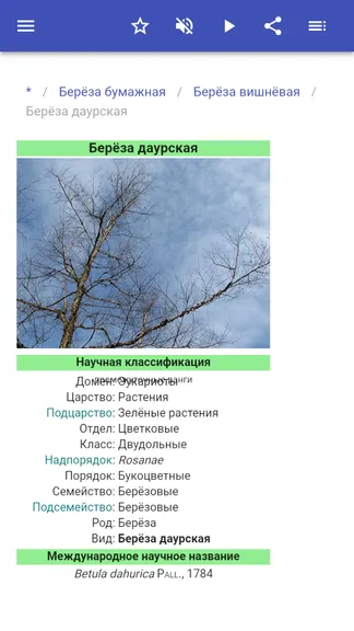 Скриншот 4/5