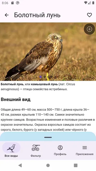 Скриншот 3/8