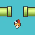 Bird Up логотип