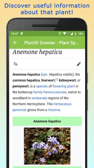 Скриншот 4/10