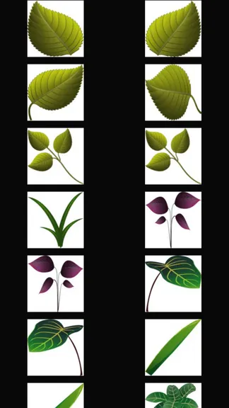 Скриншот 3/4