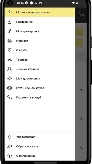 Скриншот 2/4