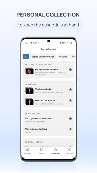 Скриншот 7/8