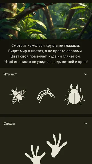 Скриншот 3/9