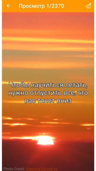 Скриншот 3/4