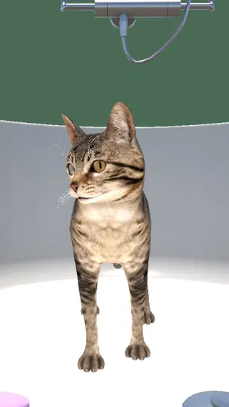 Скриншот 5/8