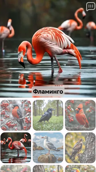 Скриншот 7/8