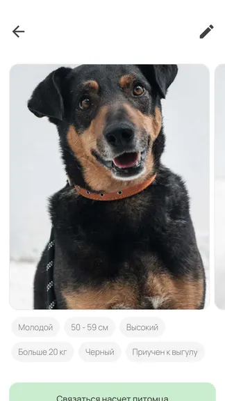 Скриншот 2/5