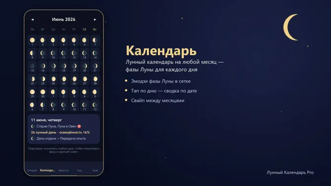 Скриншот 2/4