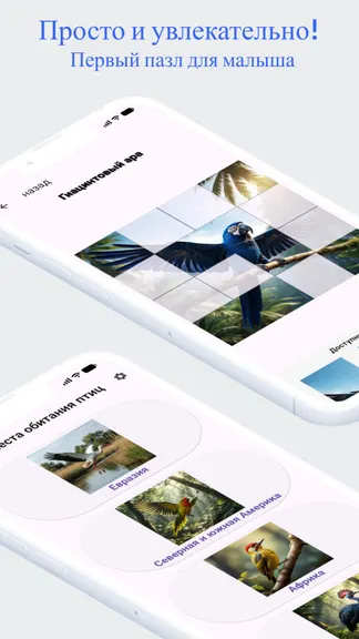 Скриншот 1/3