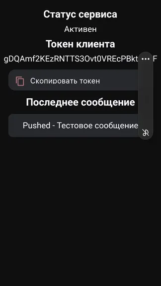 Скриншот 1/1