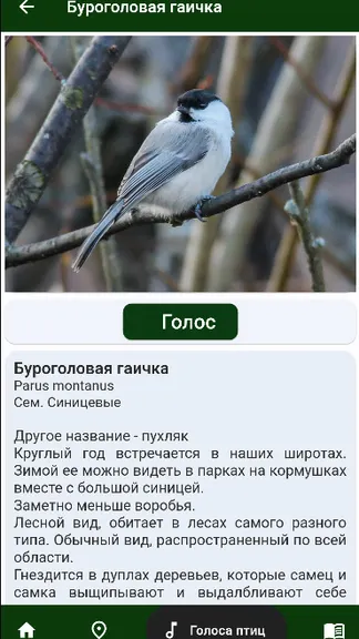 Скриншот 4/5