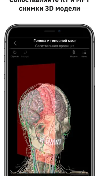 Скриншот 3/5