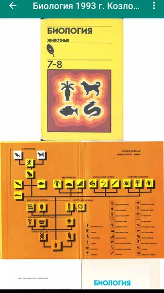 Скриншот 2/6