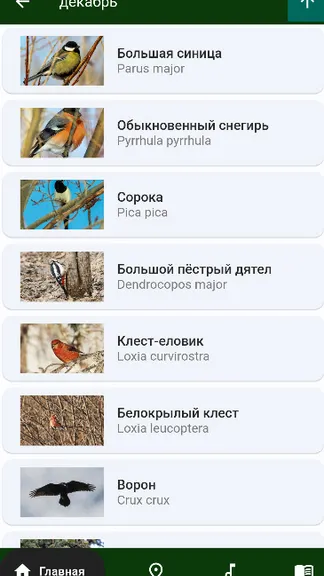 Скриншот 3/5