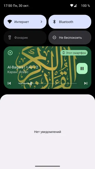 Скриншот 8/8