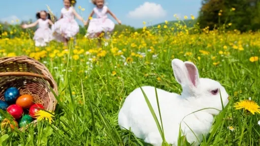 Скриншот 4/4