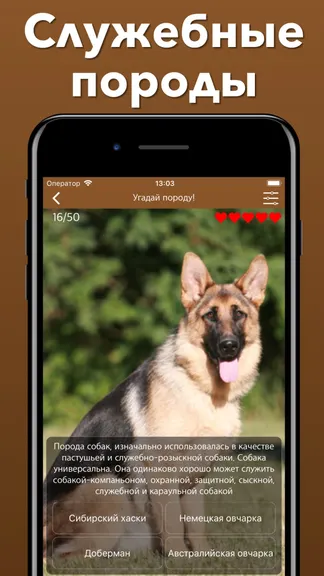 Скриншот 7/8