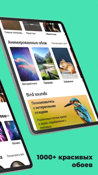 Скриншот 10/10