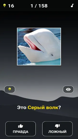 Скриншот 3/6