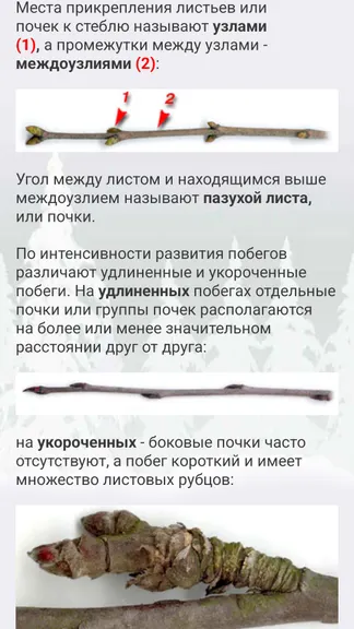 Скриншот 5/8