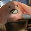 Пять ночей с Тузиком  логотип