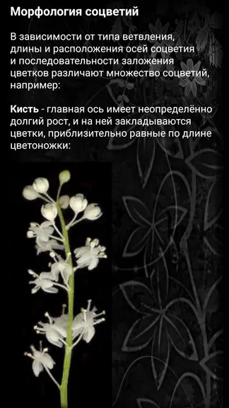 Скриншот 5/8