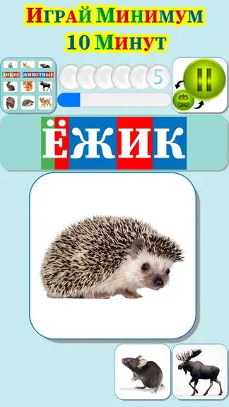Скриншот 5/9
