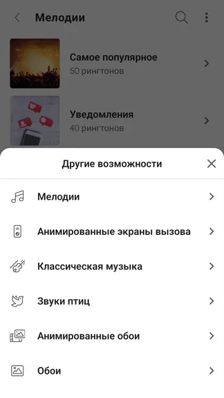 Скриншот 8/10
