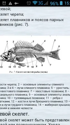 Скриншот 8/8