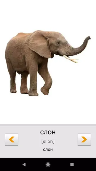Скриншот 3/8