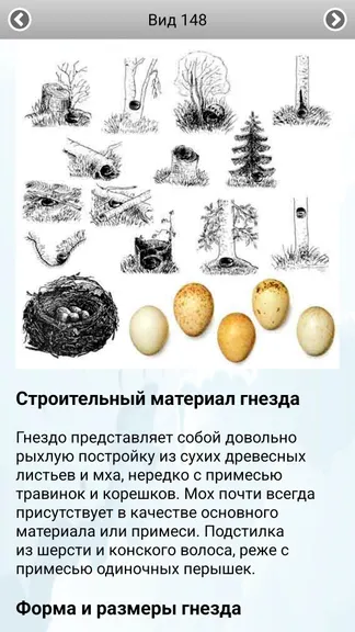 Скриншот 8/8