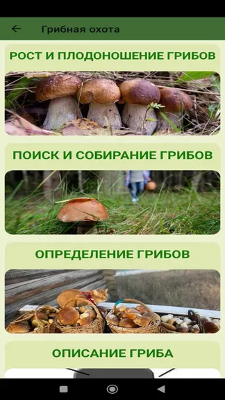 Скриншот 6/6