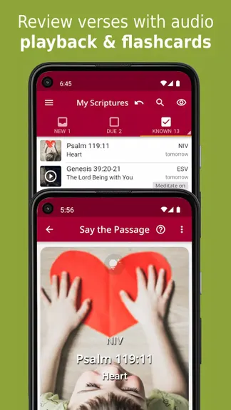 Скриншот 1/4