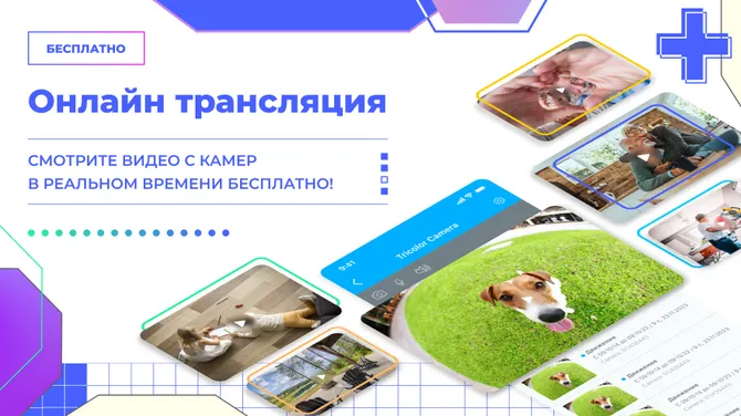 Скриншот 1/5