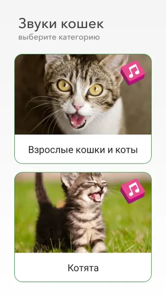 Скриншот 2/5