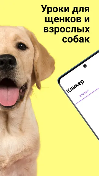 Скриншот 2/6