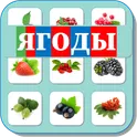 Карточки Логопеда Ягоды (139) логотип
