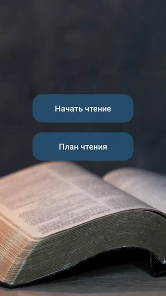 Скриншот 1/3