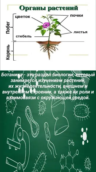 Скриншот 2/4