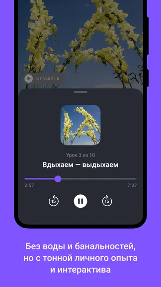 Скриншот 4/5