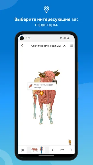 Скриншот 4/8