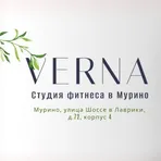 Verna фитнес-студия логотип