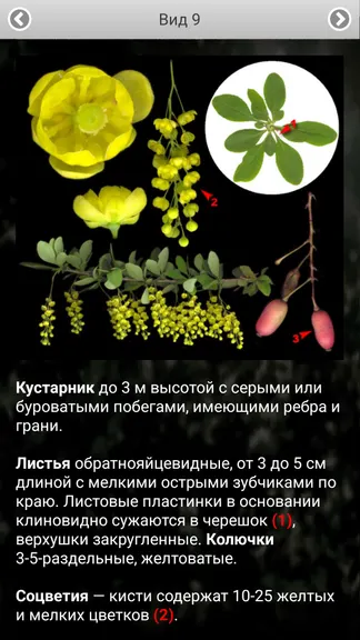 Скриншот 8/8